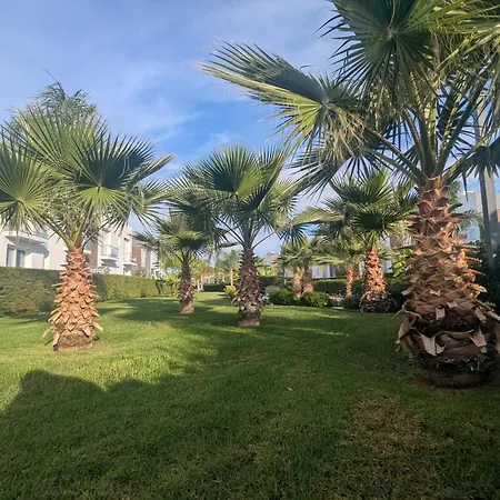 Your Four Seasons * Boghaz