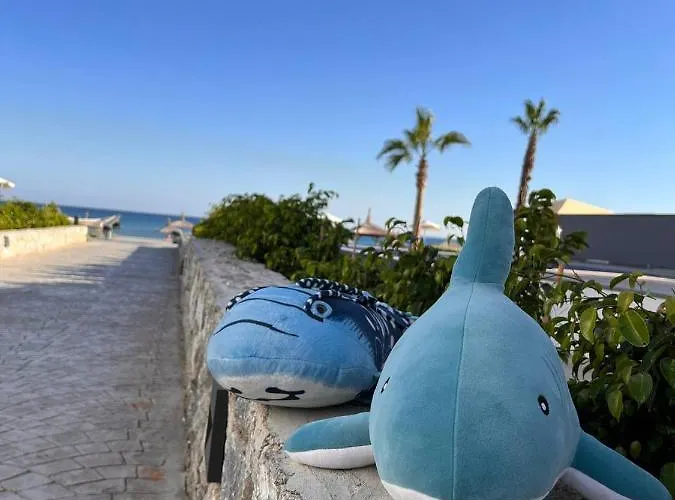 Your Four Seasons * Boghaz