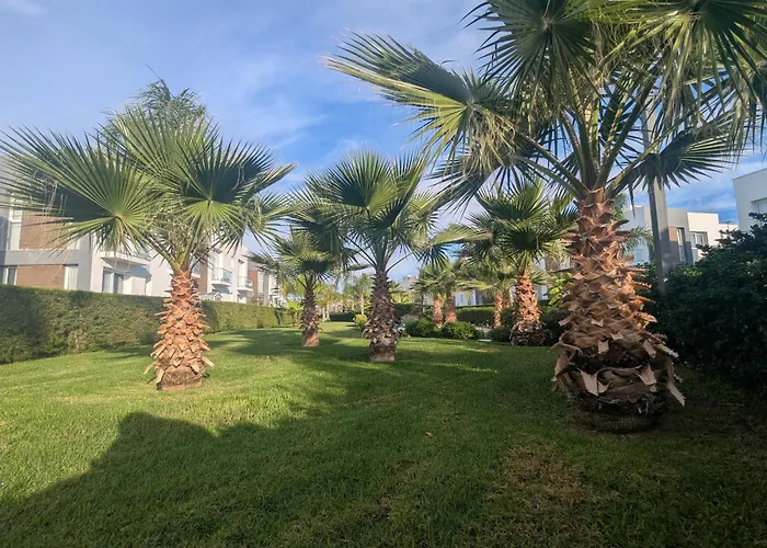 Your Four Seasons * Boghaz